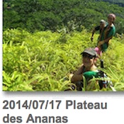 2014:07:17 Plateau Ananas
