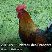 20160911-plateau-orangers